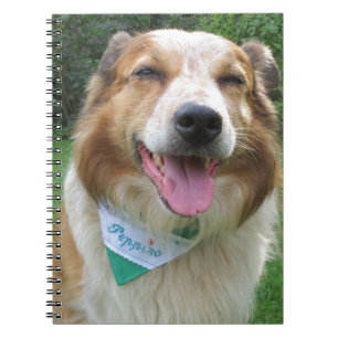 border collie mix notebook