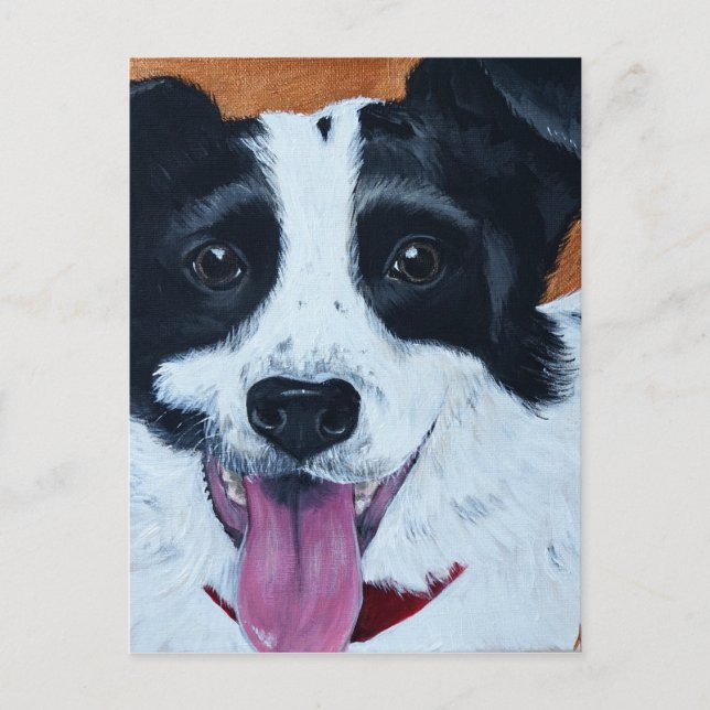 Border Collie Mix Painting Postcard (Front)