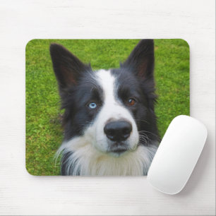 Border Collie Mouse Mat