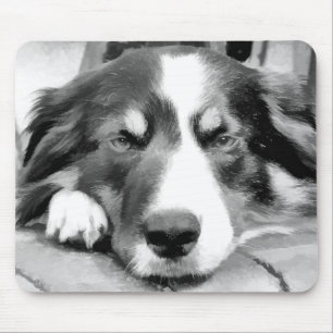 BORDER COLLIE MOUSE MAT