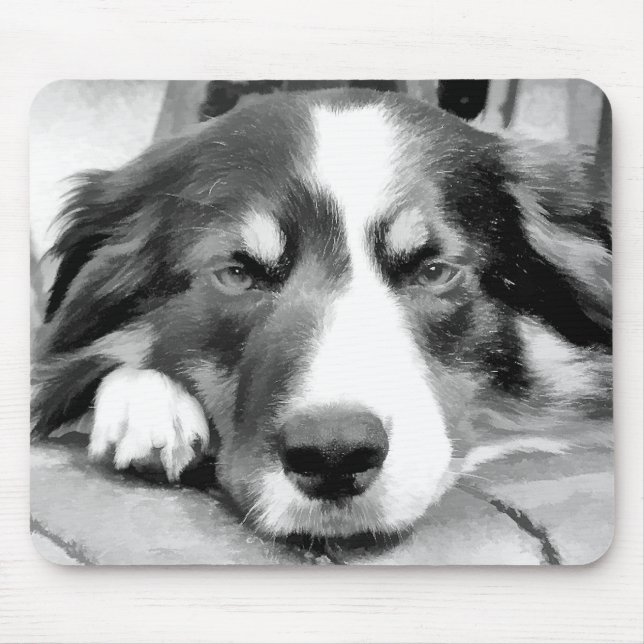 BORDER COLLIE MOUSE MAT (Front)