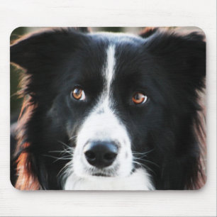 Border Collie Mouse Mat