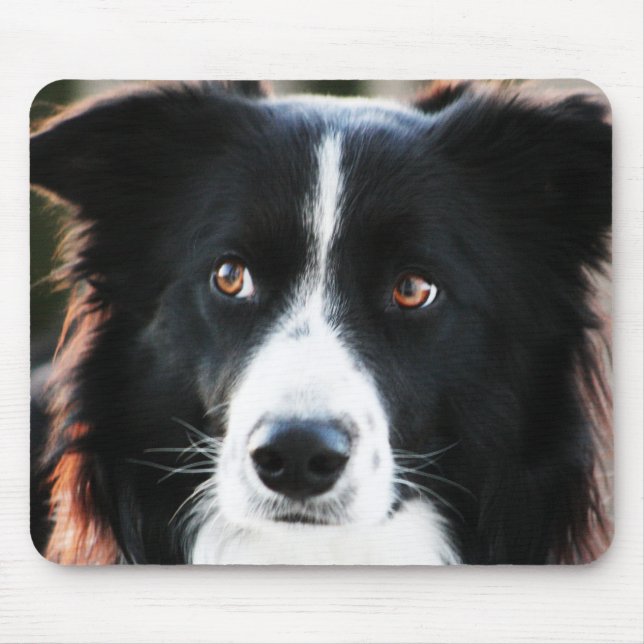 Border Collie Mouse Mat (Front)
