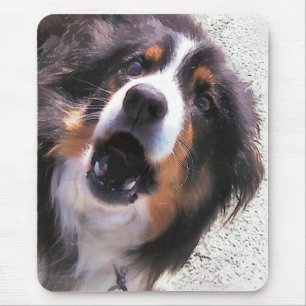BORDER COLLIE MOUSE MAT