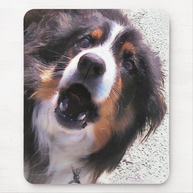 BORDER COLLIE MOUSE MAT (Front)