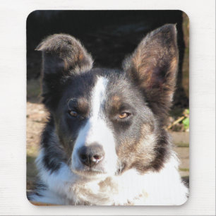 BORDER COLLIE MOUSE MAT