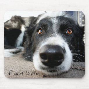 Border collie mouse pad