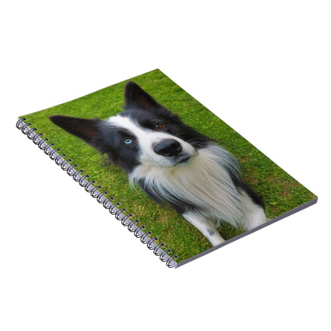 Border Collie Notebook (Right Side)