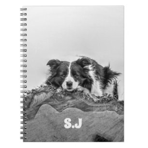 Border Collie Notebook