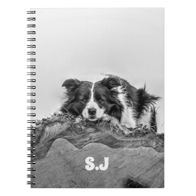 Border Collie Notebook (Front)