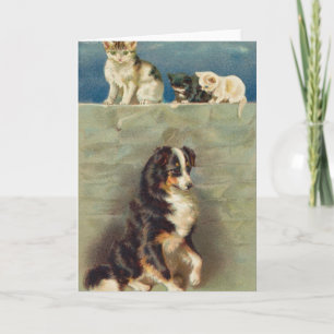 Border Collie Notecard