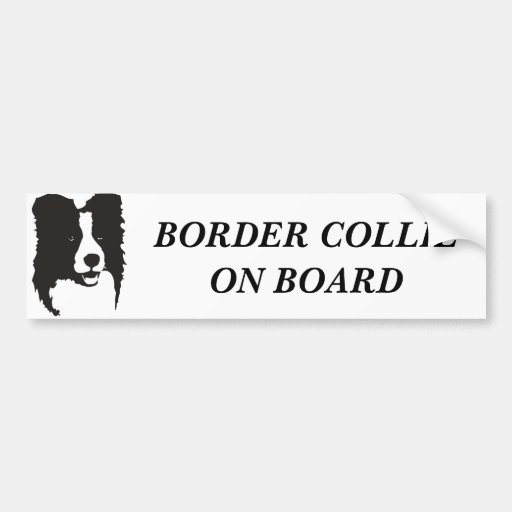 Image of Border Collie On Board Bumper Sticker