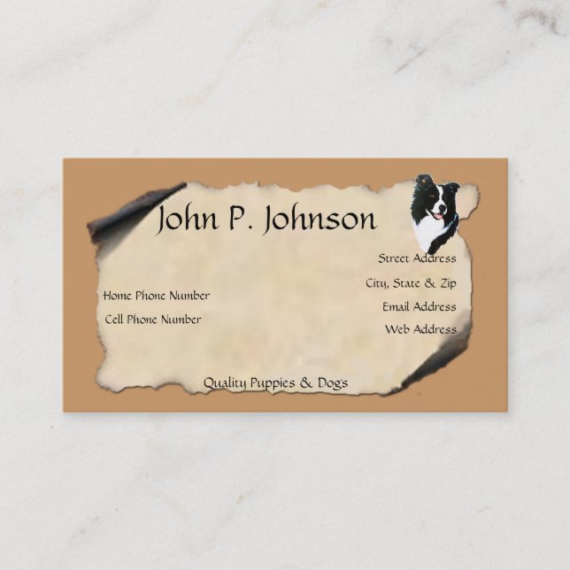 Border Collie on Old Parchment Business Card (Front)