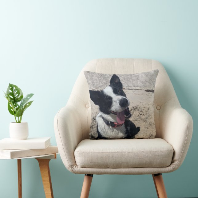Border Collie on the Beach Cushion (Chair)
