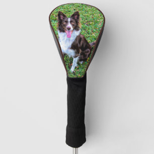 border collie p3 golf head cover