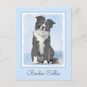 Border Collie Painting - Cute Original Dog Art Postcard