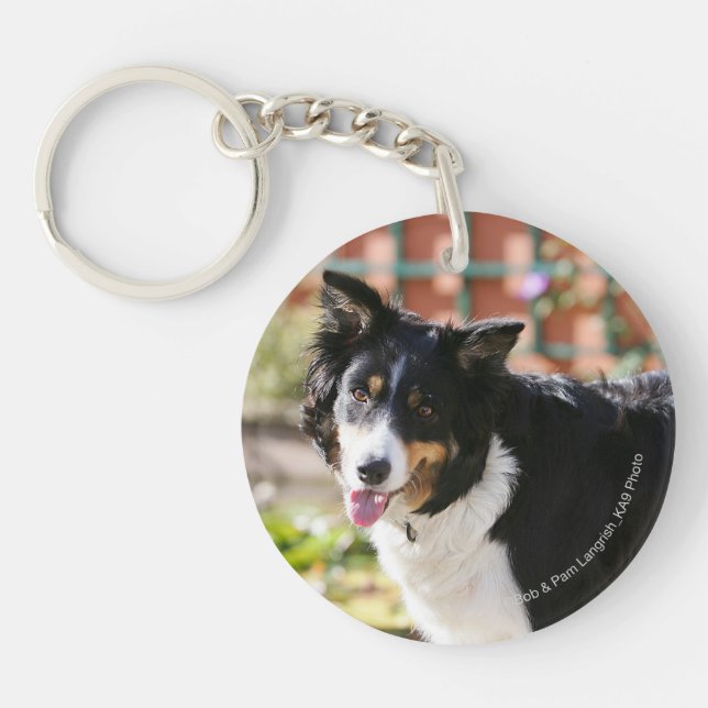 Border Collie Panting 1 Key Ring (Front)