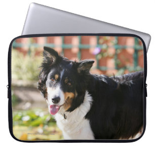 Border Collie Panting 1 Laptop Sleeve