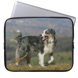 Border Collie Panting 2 Laptop Sleeve