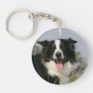 Border Collie Panting Headshot 1 Key Ring