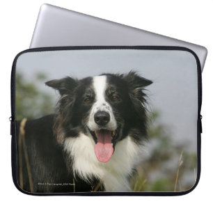 Border Collie Panting Headshot 1 Laptop Sleeve