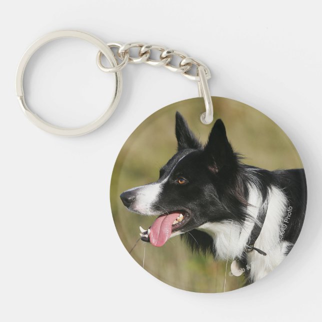 Border Collie Panting Headshot 2 Key Ring (Front)