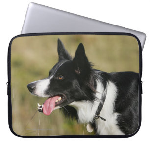 Border Collie Panting Headshot 2 Laptop Sleeve