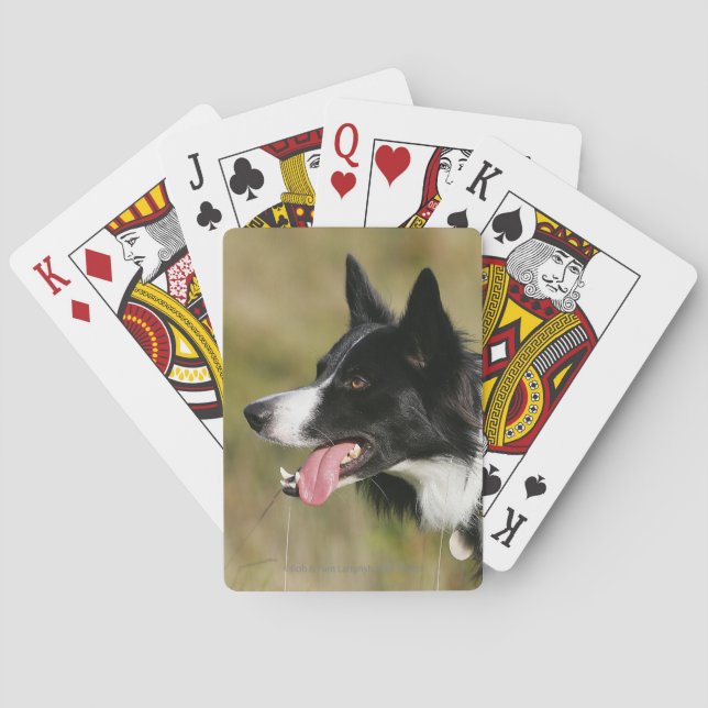 Border Collie Panting Headshot 2 Playing Cards (Back)