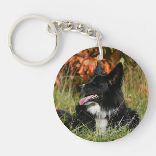 Border Collie Panting Laying Down Key Ring