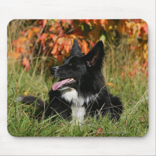Border Collie Panting Laying Down Mouse Mat