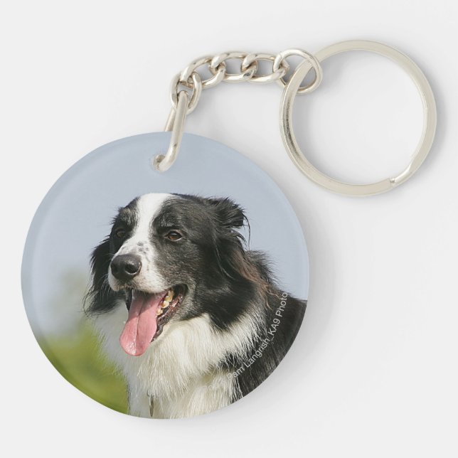 Border Collie Panting Standing Key Ring (Back)