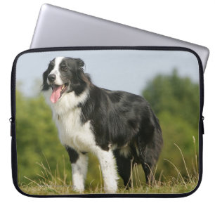 Border Collie Panting Standing Laptop Sleeve