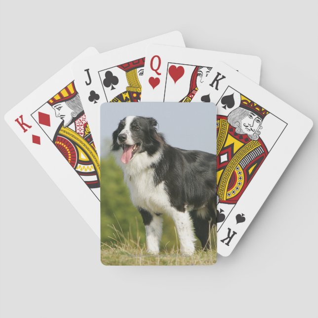 Border Collie Panting Standing Playing Cards (Back)
