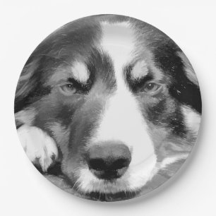 BORDER COLLIE PAPER PLATE