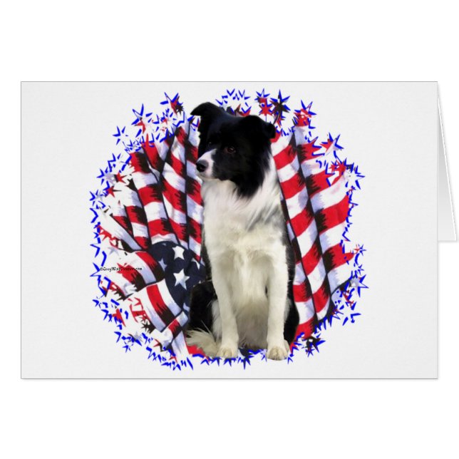 Border Collie Patriot (Front Horizontal)
