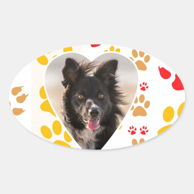 Border Collie Paw Print Love Heart Oval Sticker (Front)