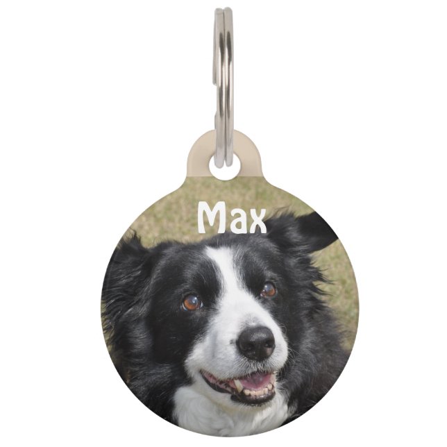 Border Collie Pet Tag (Front)