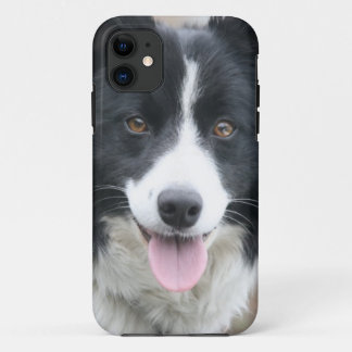 Border Collie Phone Case
