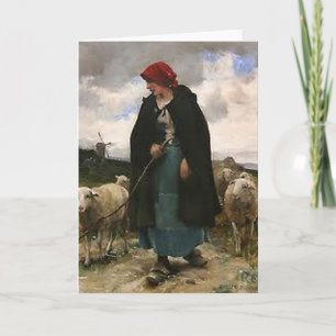 Border Collie Photo Card