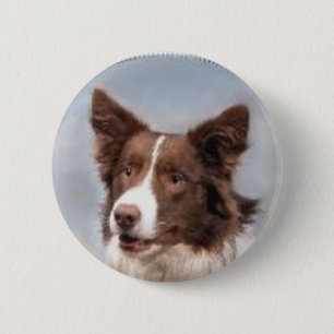 Border Collie Pin