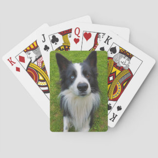 Border Collie Playing Cards