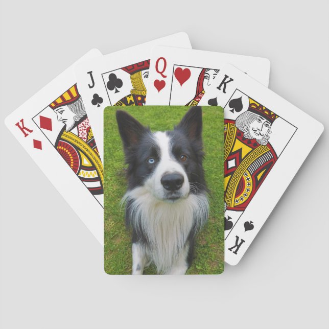 Border Collie Playing Cards (Back)