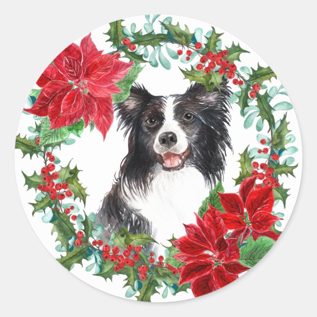 Border Collie Poinsettia Holly Holiday Wreath Classic Round Sticker (Front)