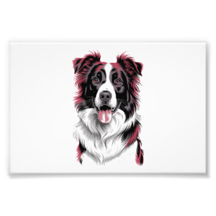 Border Collie Portrait in Vibrant Detail for Dog Photo Print