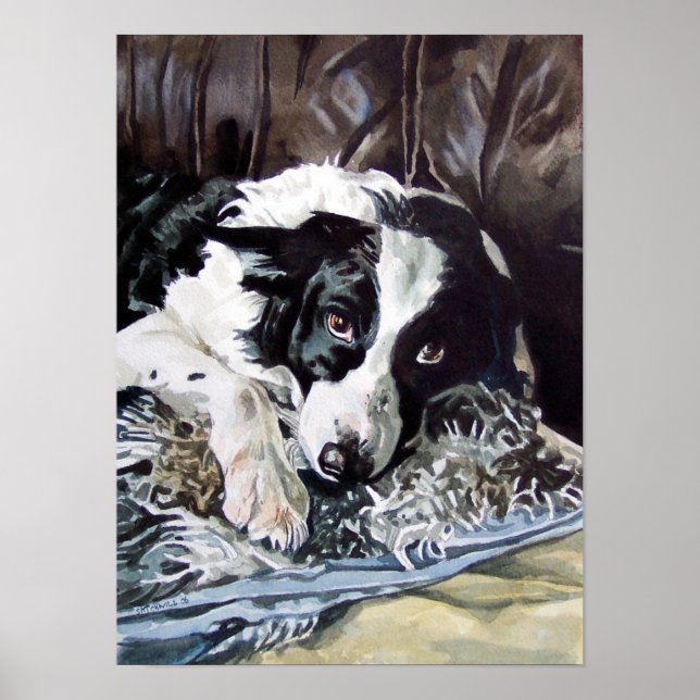 Border Collie Poster (Front)