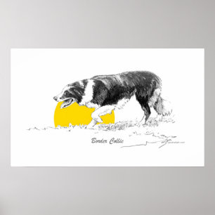 Border Collie Poster