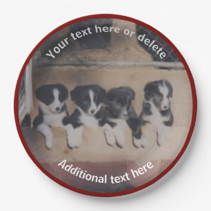 Border Collie Puppies Art Personalized Party    Paper Plate