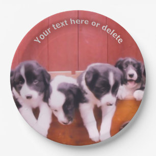 Border Collie Puppies Art Personalized Party    Paper Plate