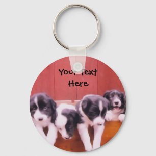Border Collie Puppies In Drawer Keychain