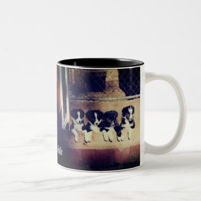 Border Collie Puppies Personalised Two-Tone Coffee Mug (Right)